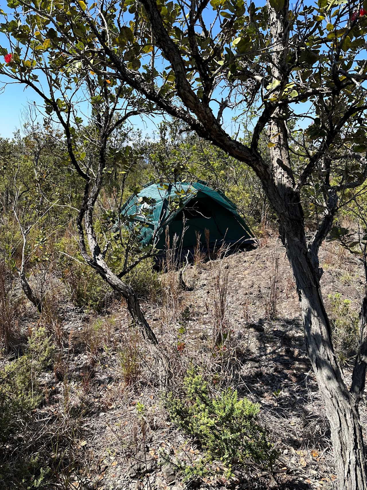 Captain Cooks Lava Tube Camp/cabins