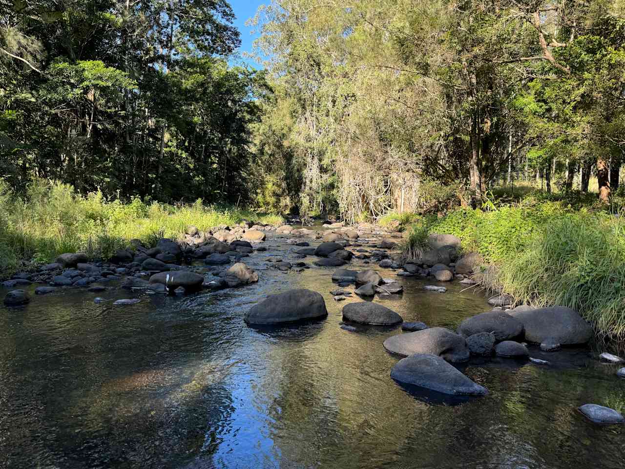 Warrazambil Creek Camp