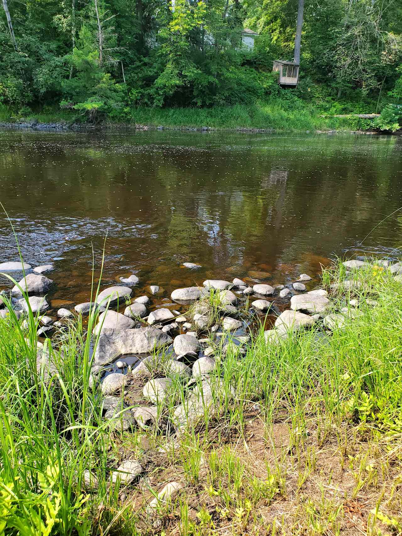 Rocks right next to tent site, walk out here for casual river access.