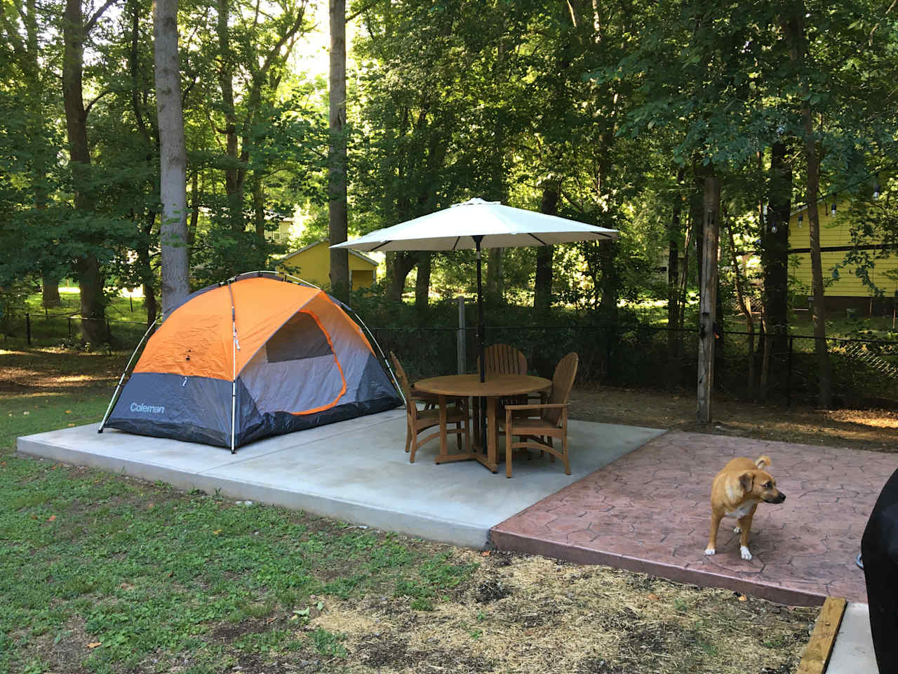 MINI 105 WOODS RUN URBAN CAMPING