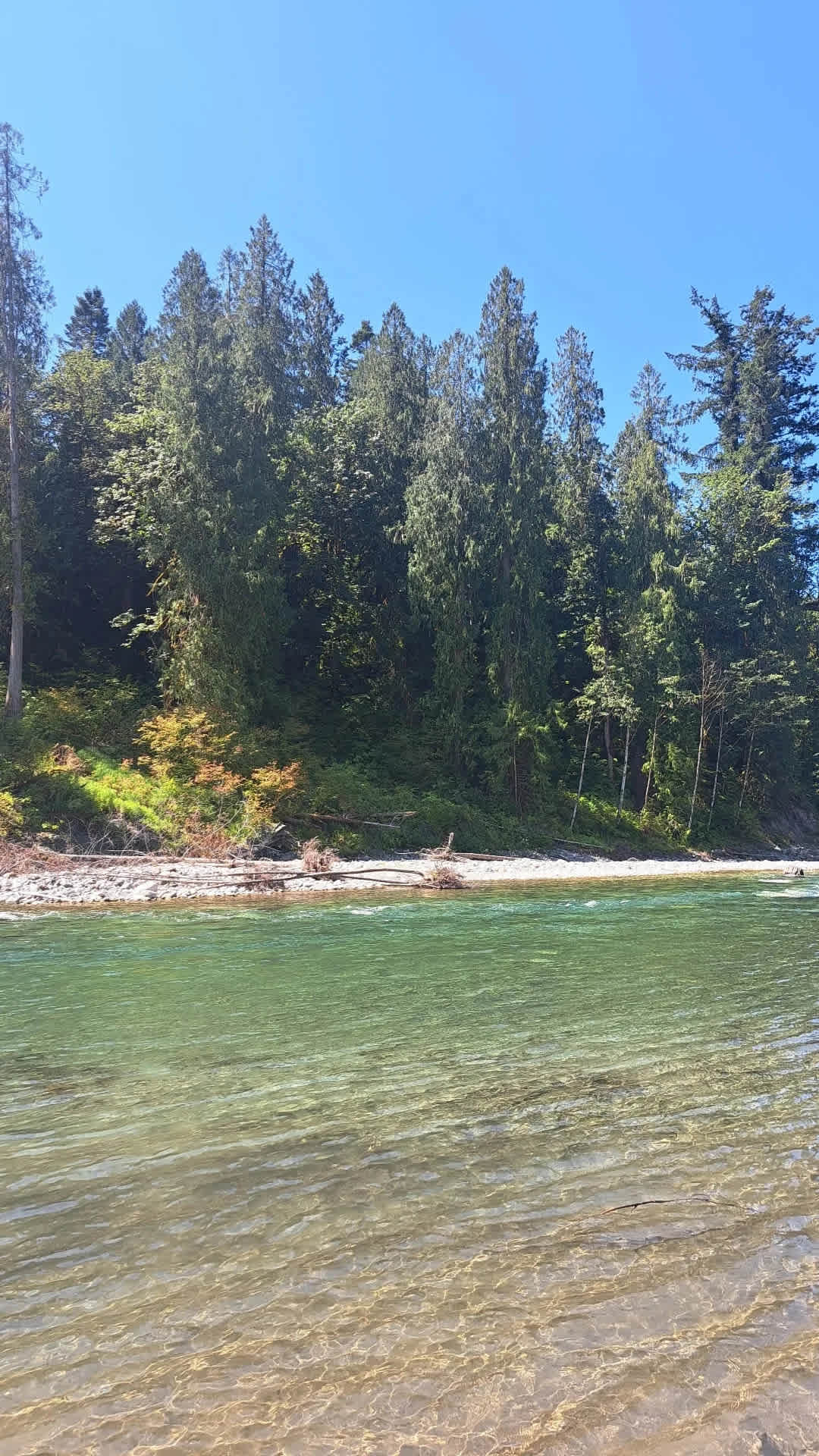 Living Large on Chilliwack River