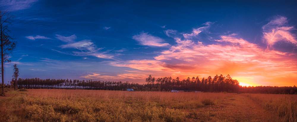 Camp Z Folkston