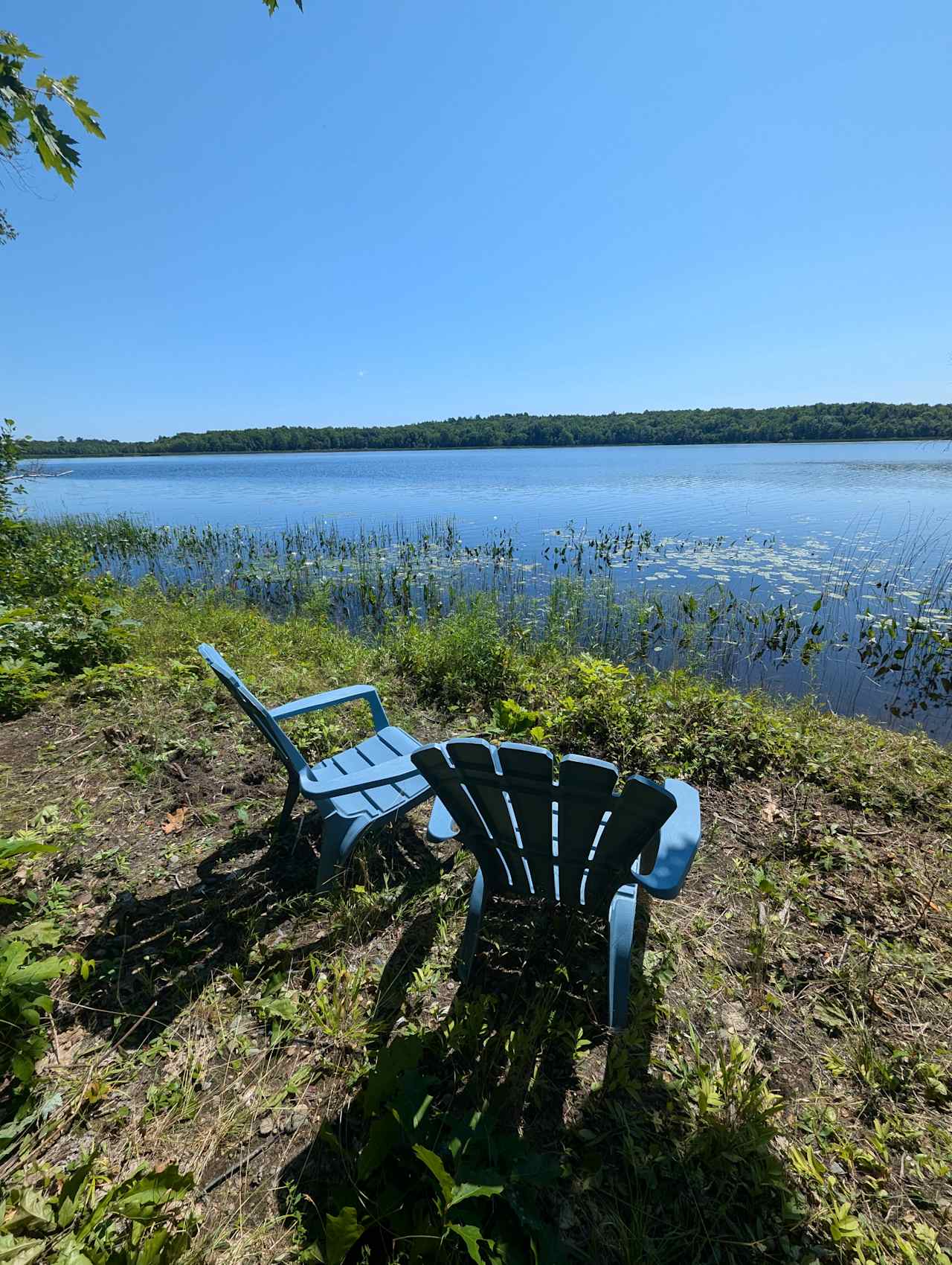 Peace of Maine-1/2 Mile Waterfront