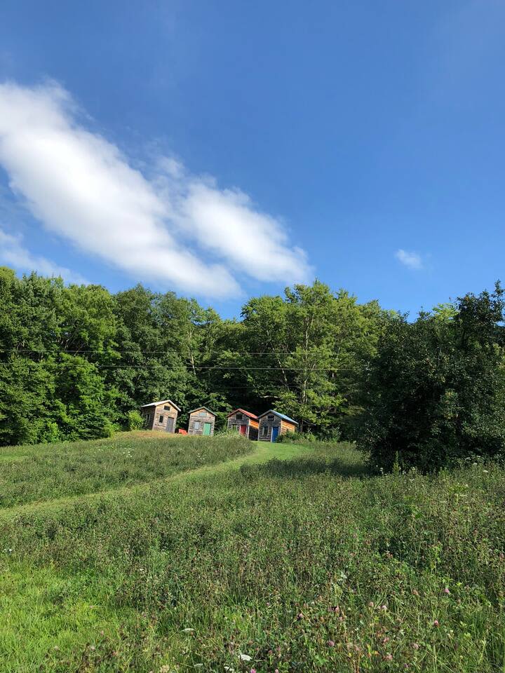 Tiny Cabin Sanctuary Asheville