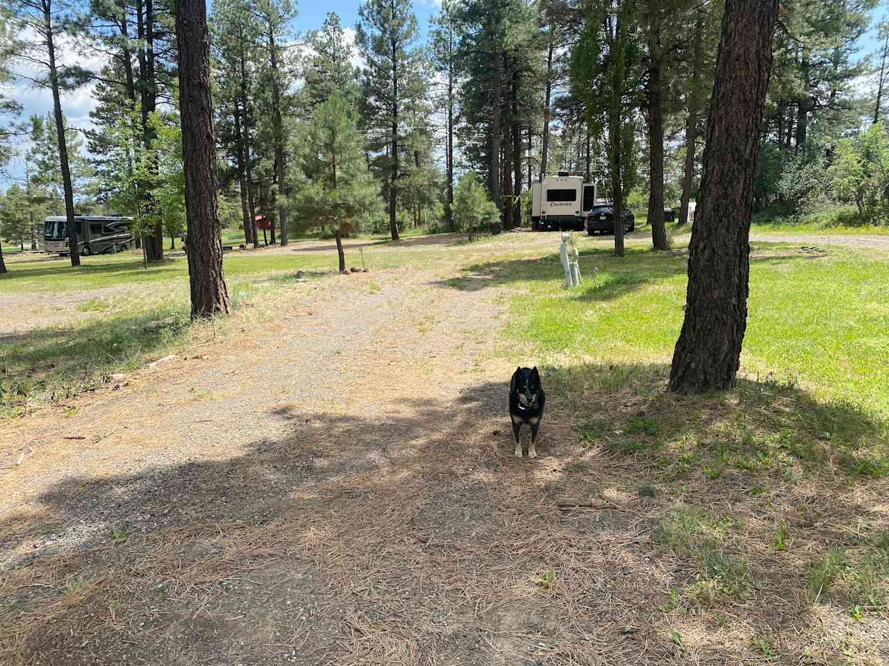 Pagosa Mill RV Park