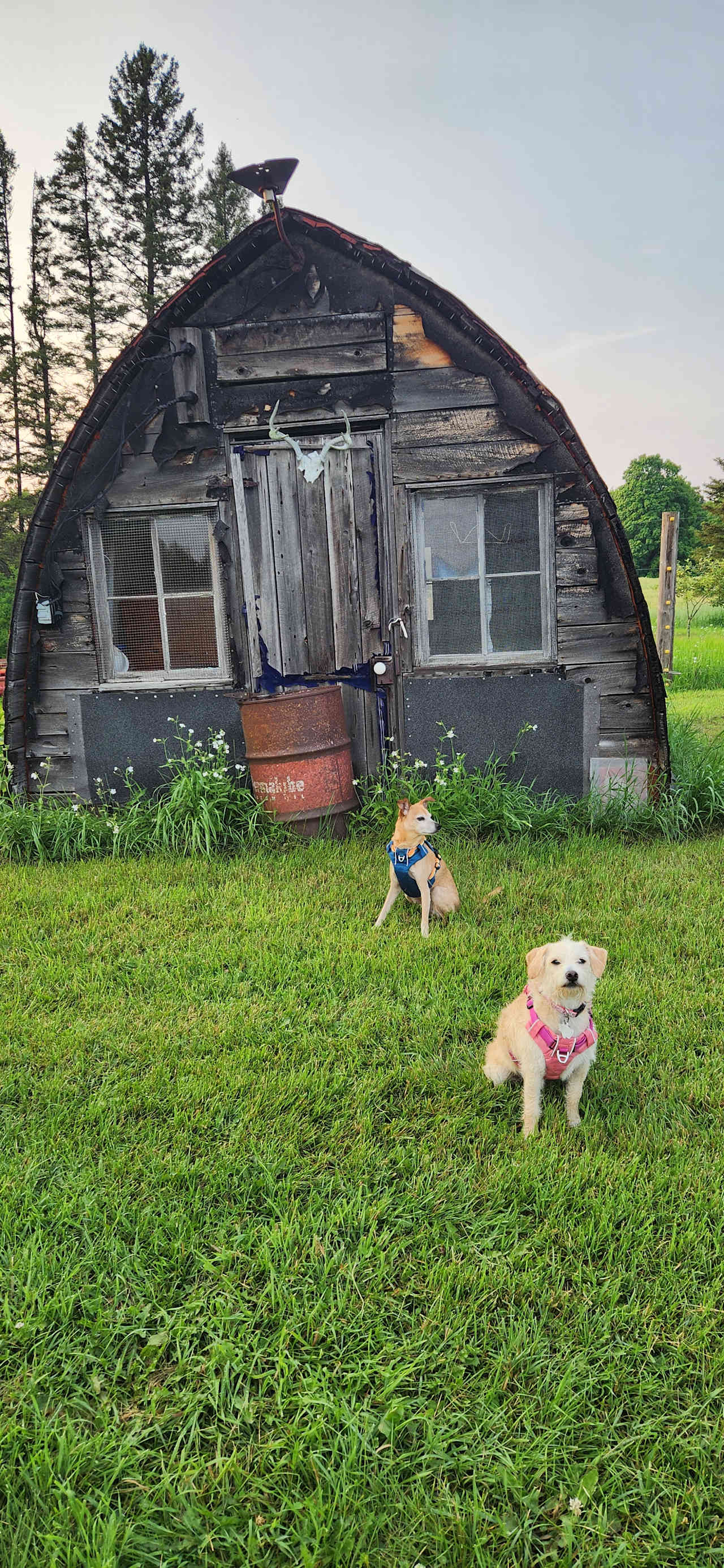 Maple Creek Farm