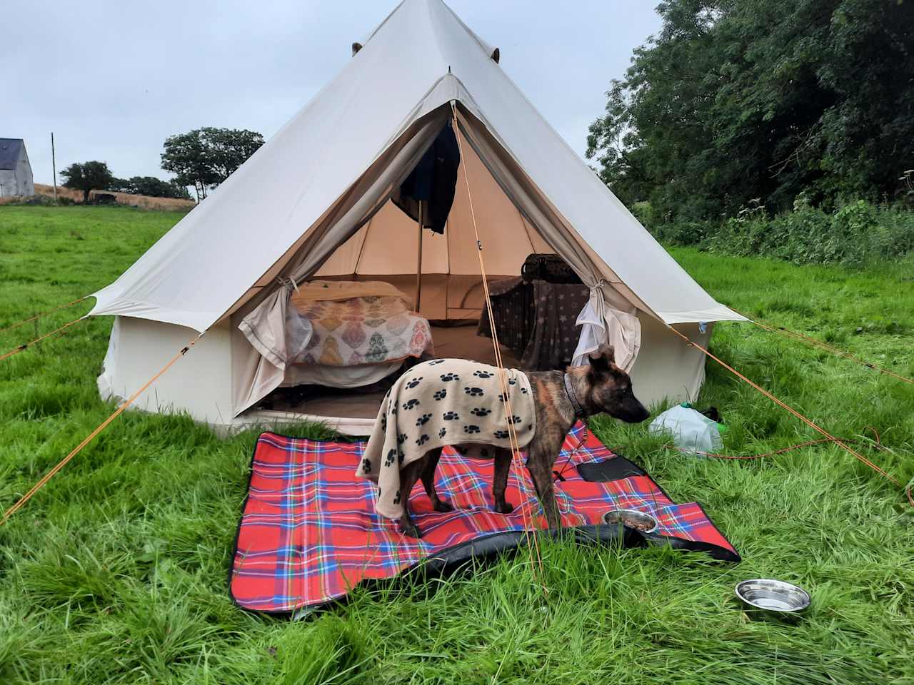 Caerau Campsite