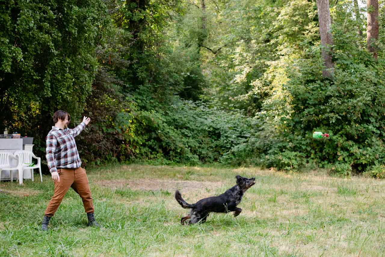 A large backyard to play fetch with your dog.