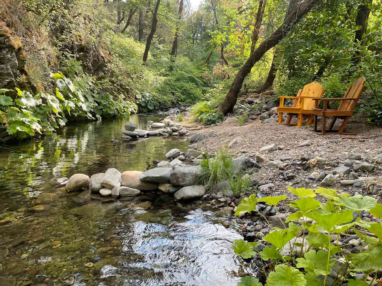 School Bus with Private Creek