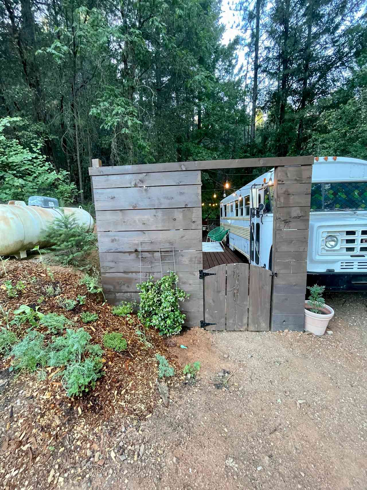 School Bus with Private Creek