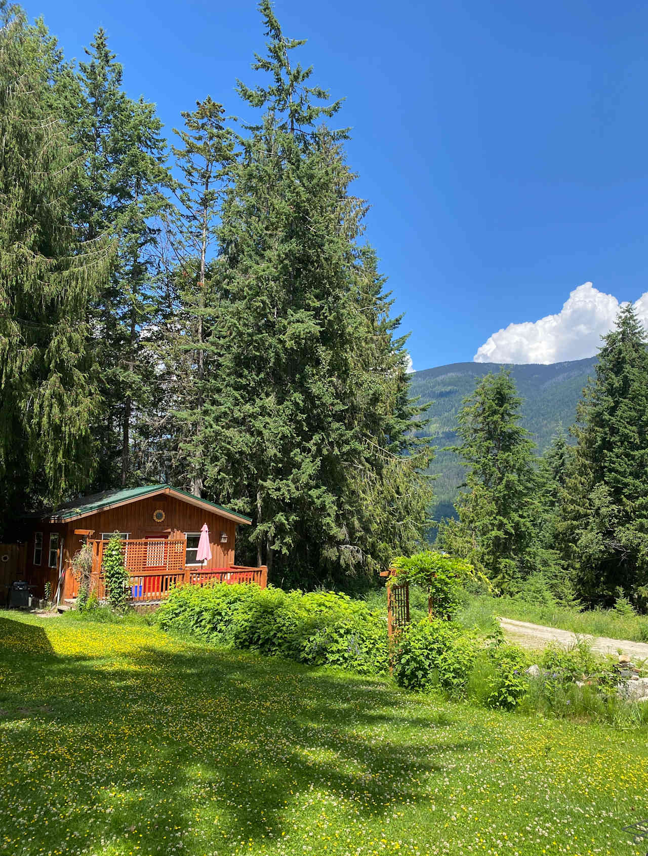 The Kootenay Cottage, Pet Friendly