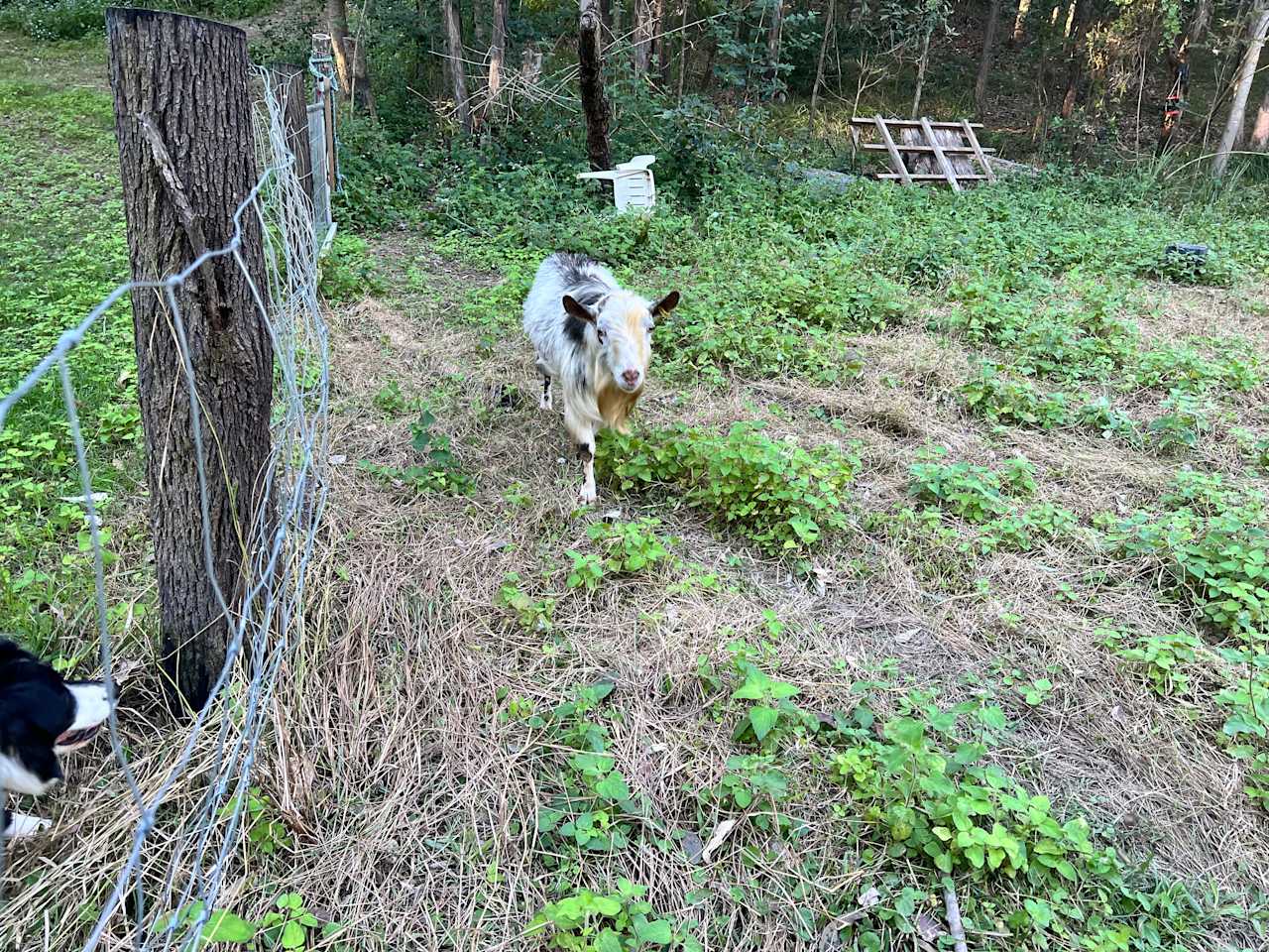 Hidden Creek Farm Qld