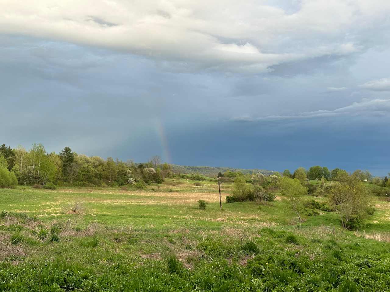 Little Sister Farm