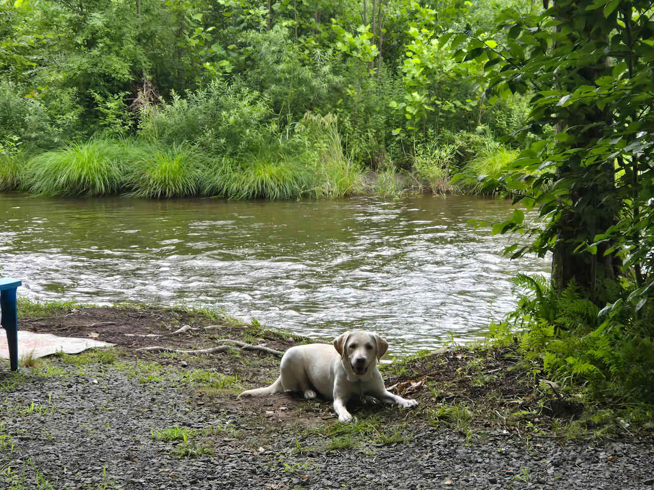 Daydreamin on Dyberry Creek