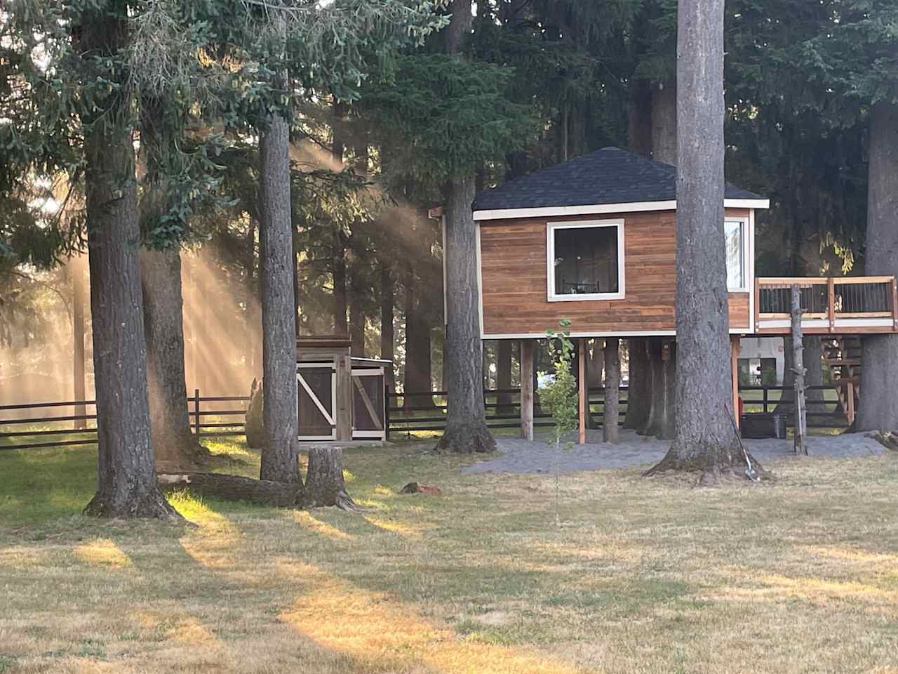 Foggy Hill Treehouse and farm