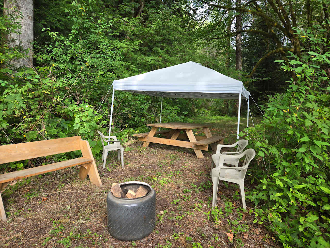 A canopy and picnic table for use