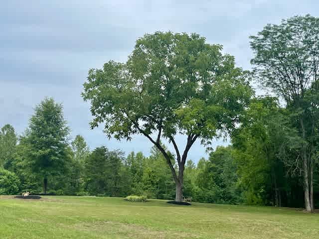 Diamond Heritage Nature Sites