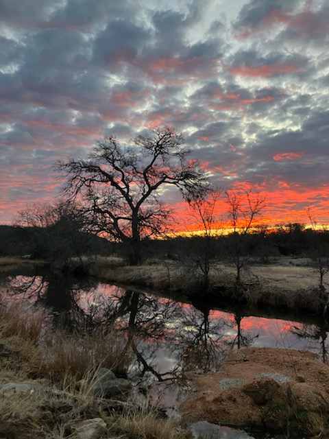 Hill Country Escape