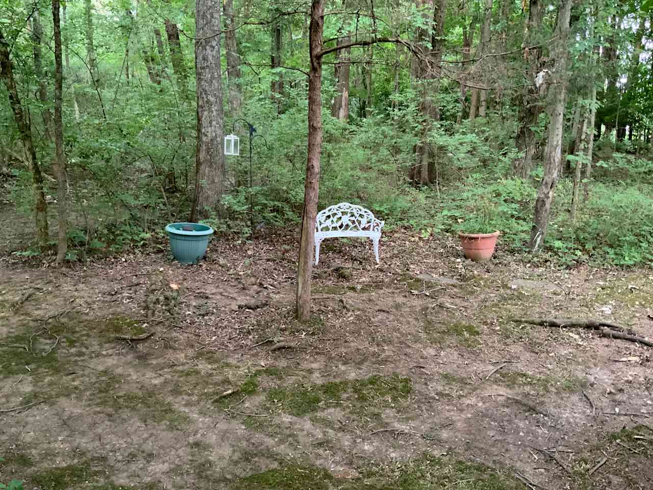 Second Creek Trails