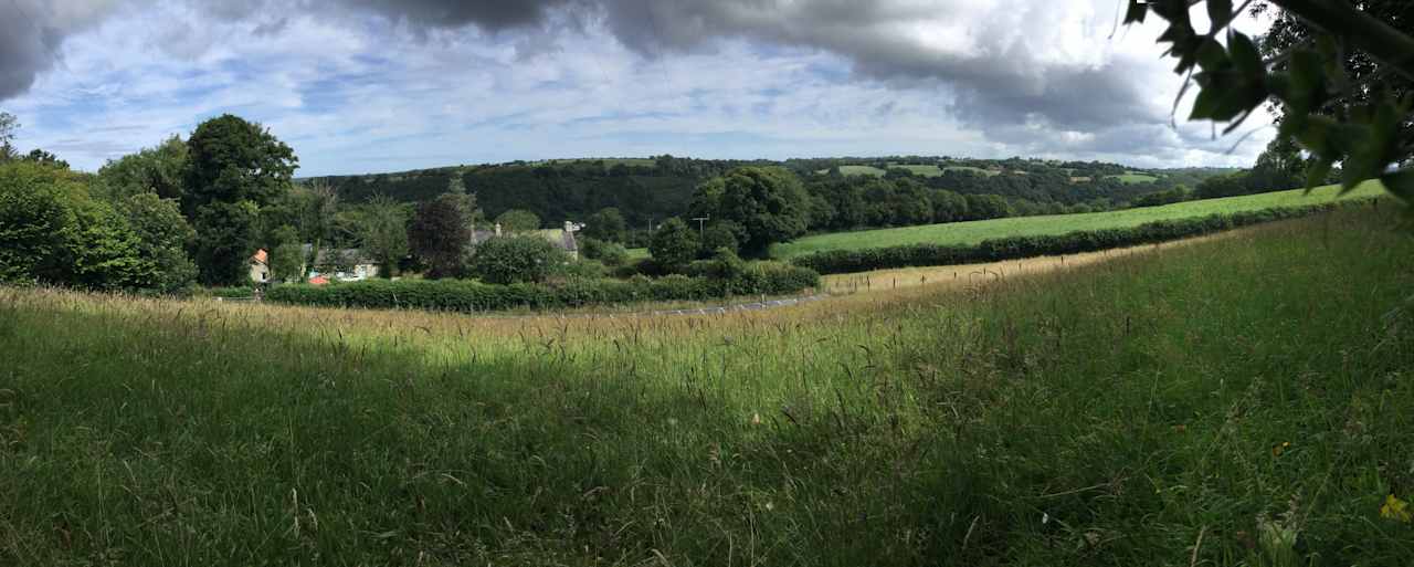 Top Field + High Woodland