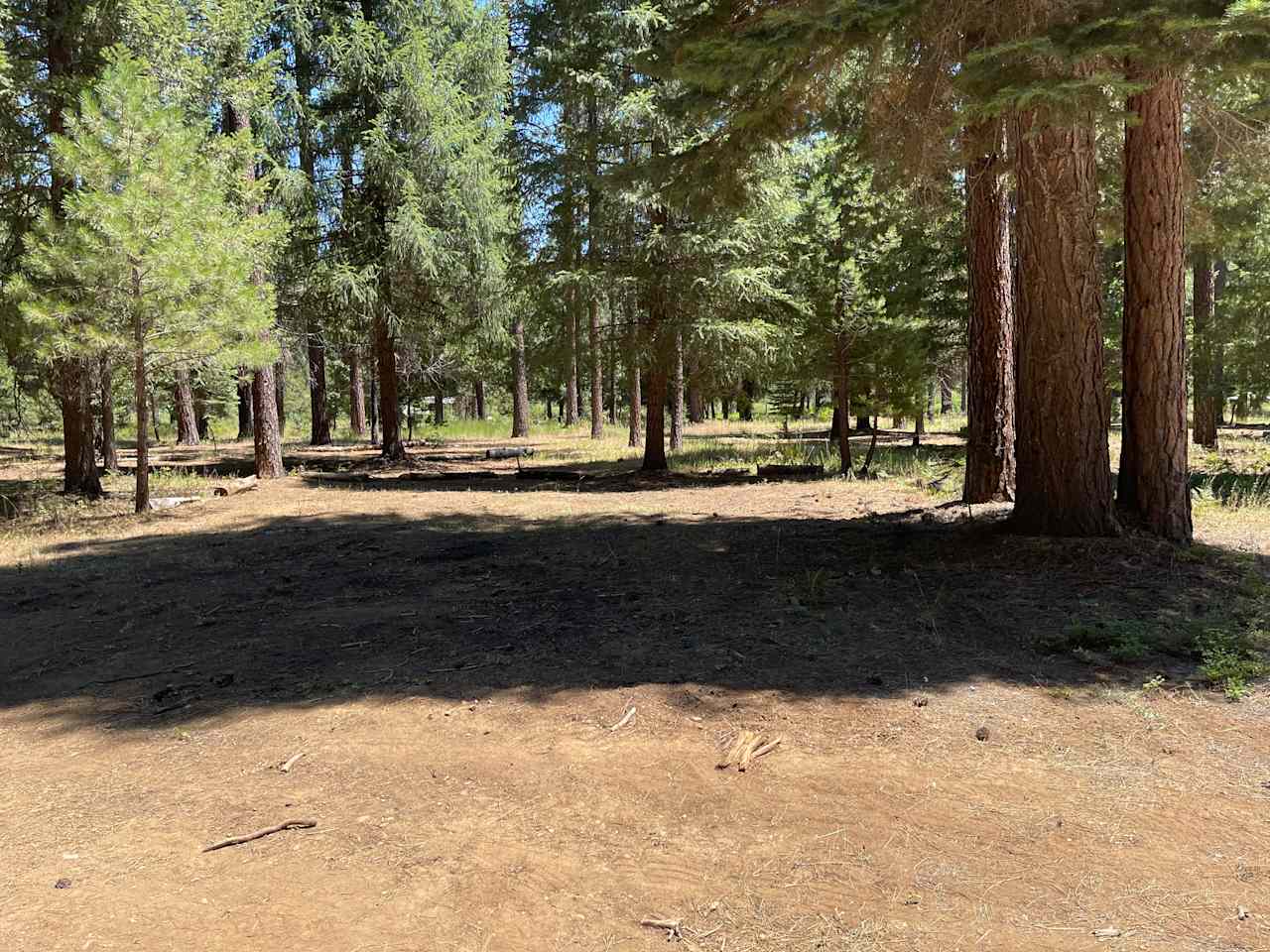 Wild Plumas California