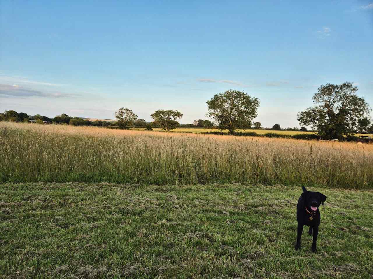 Haybridge Wharf Farm