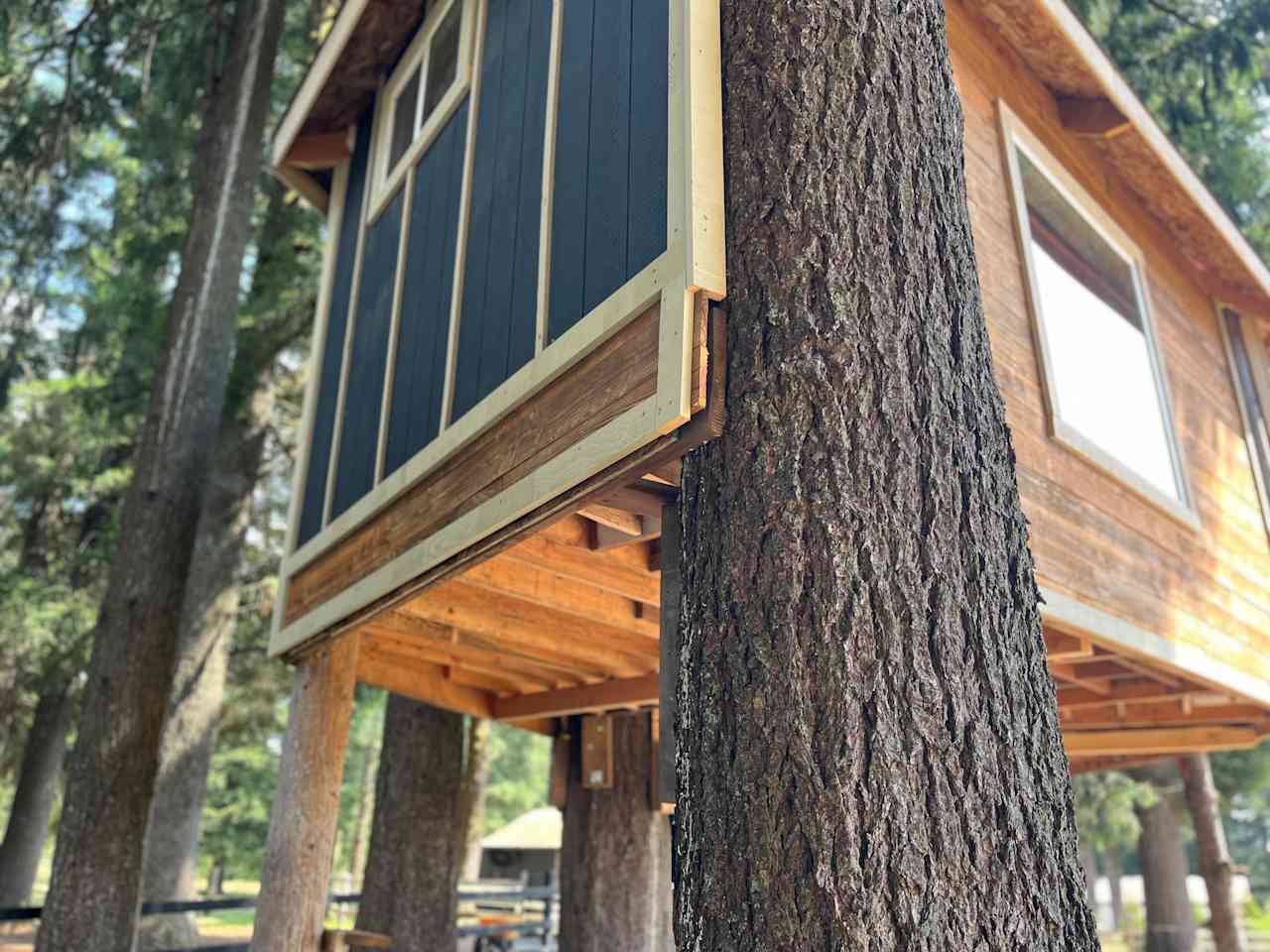 Foggy Hill Treehouse and farm