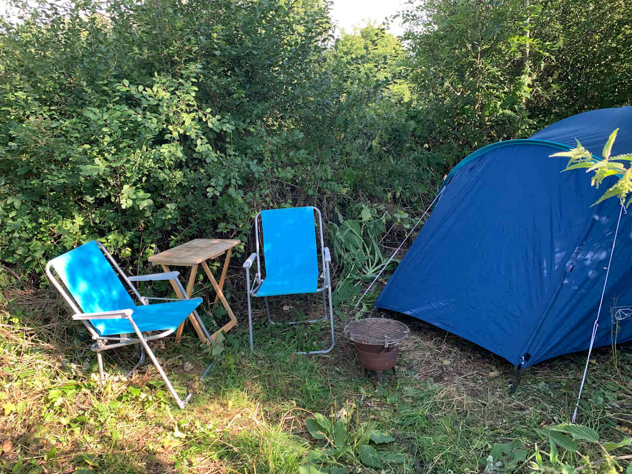 Forest Garden Camp Spot Cardiff