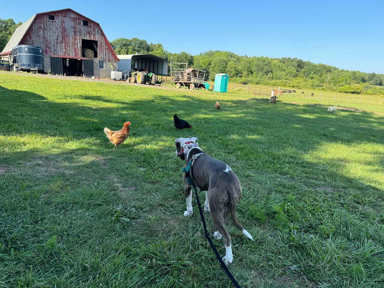 The Farm at Grand River