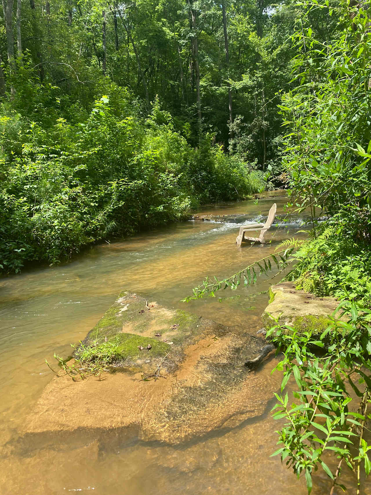 Cold Creek Farm