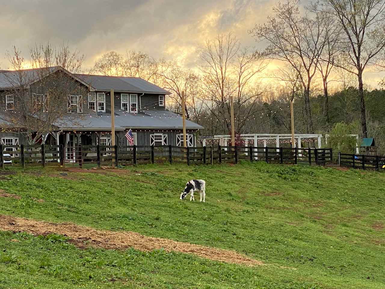 Cold Creek Farm