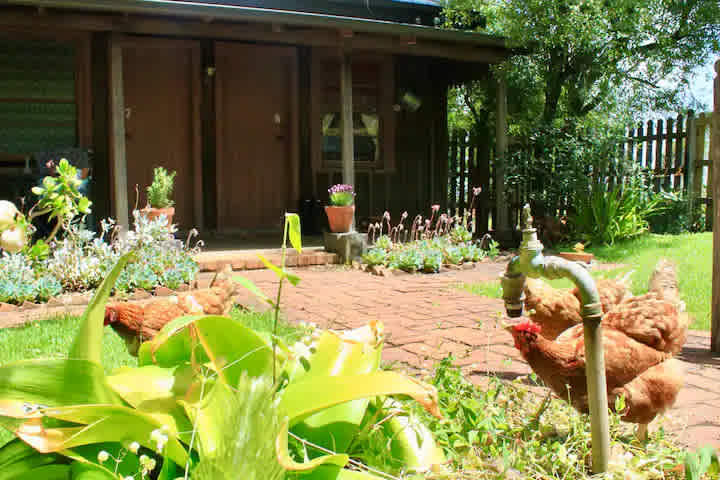 Shearer’s Cottage at Cambus Glen Highlands