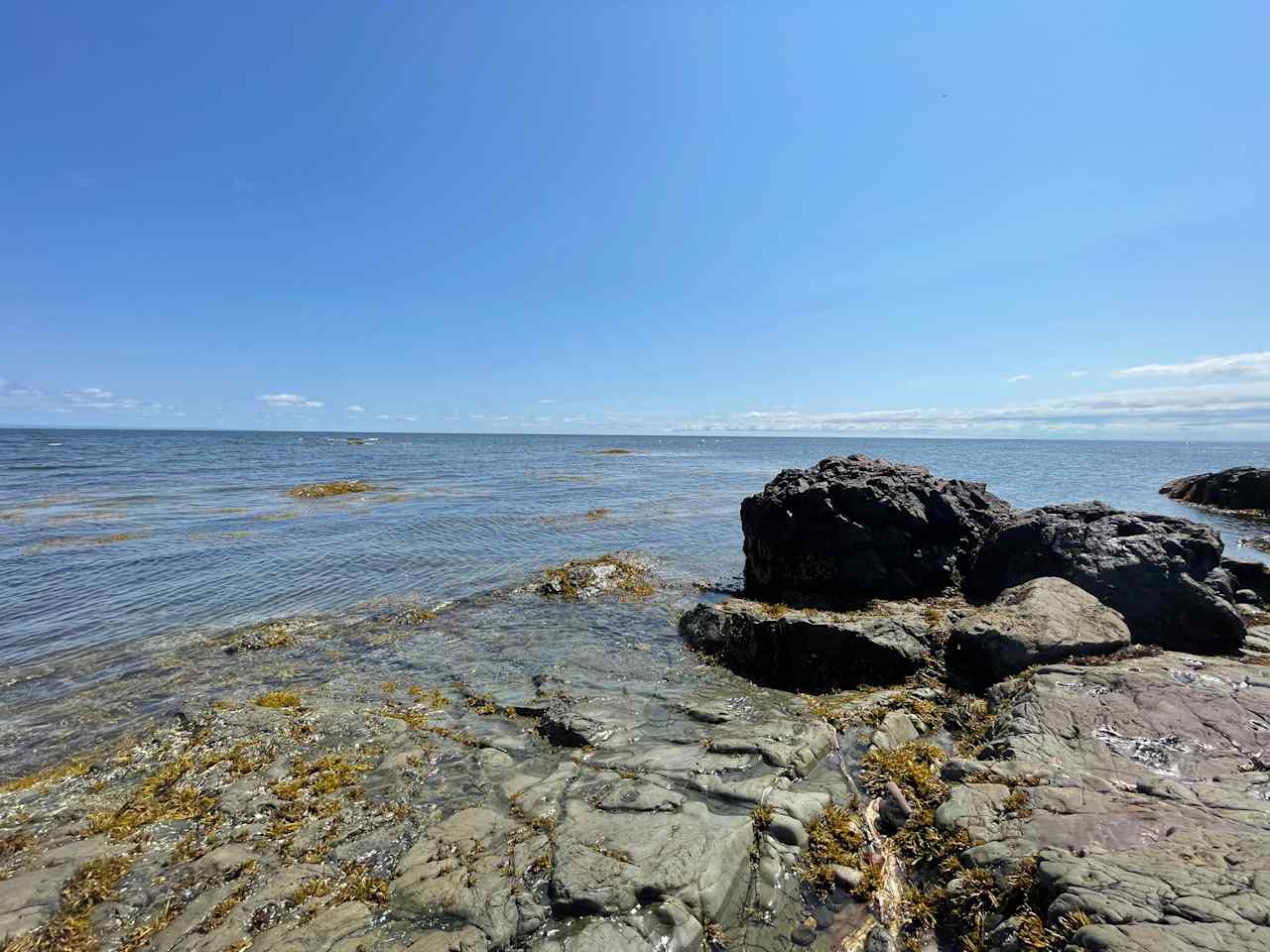 L’anse Aux balbuzards