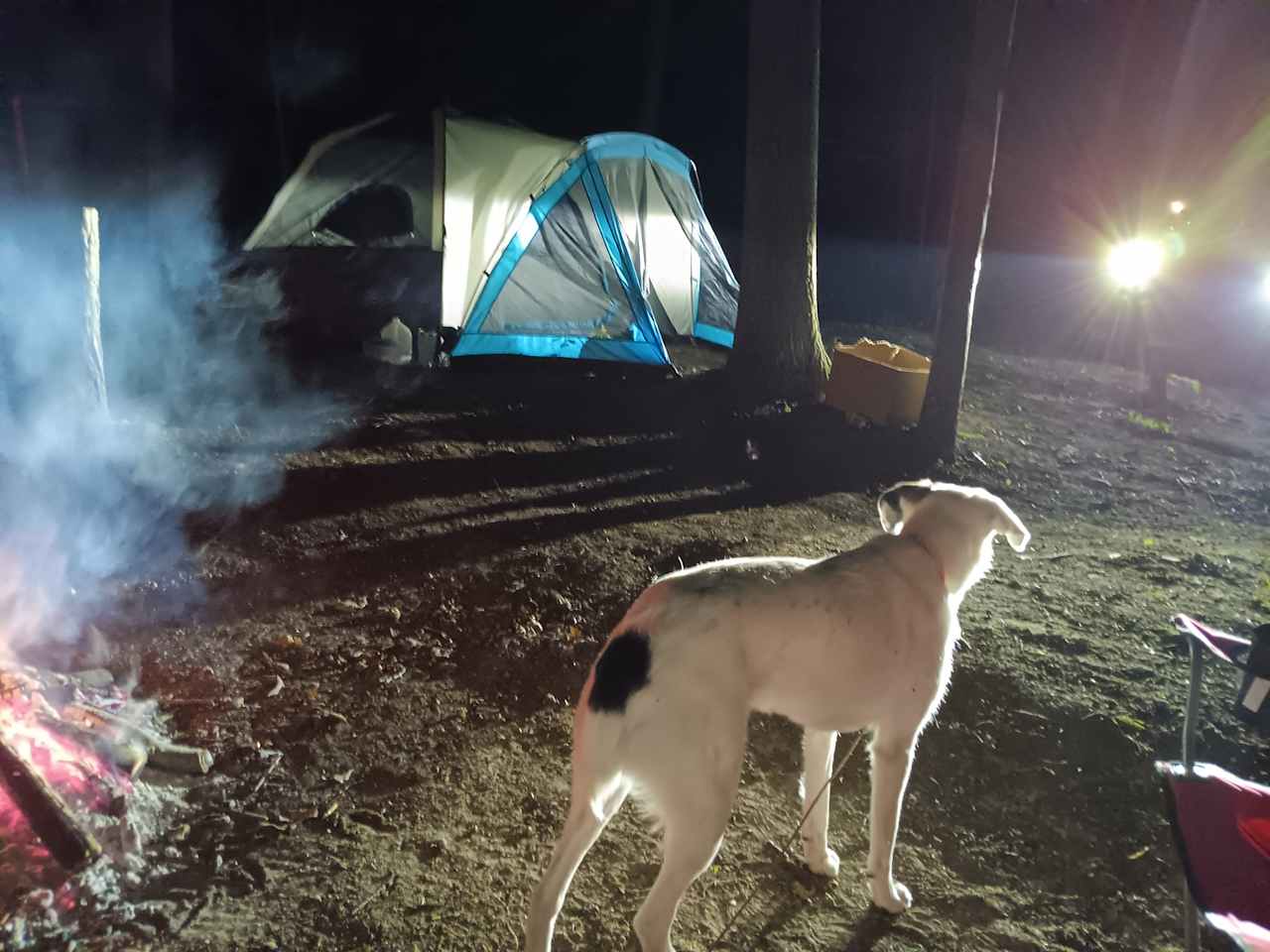 Lake Huron Wooded Retreat 🚗🏕️🏖️