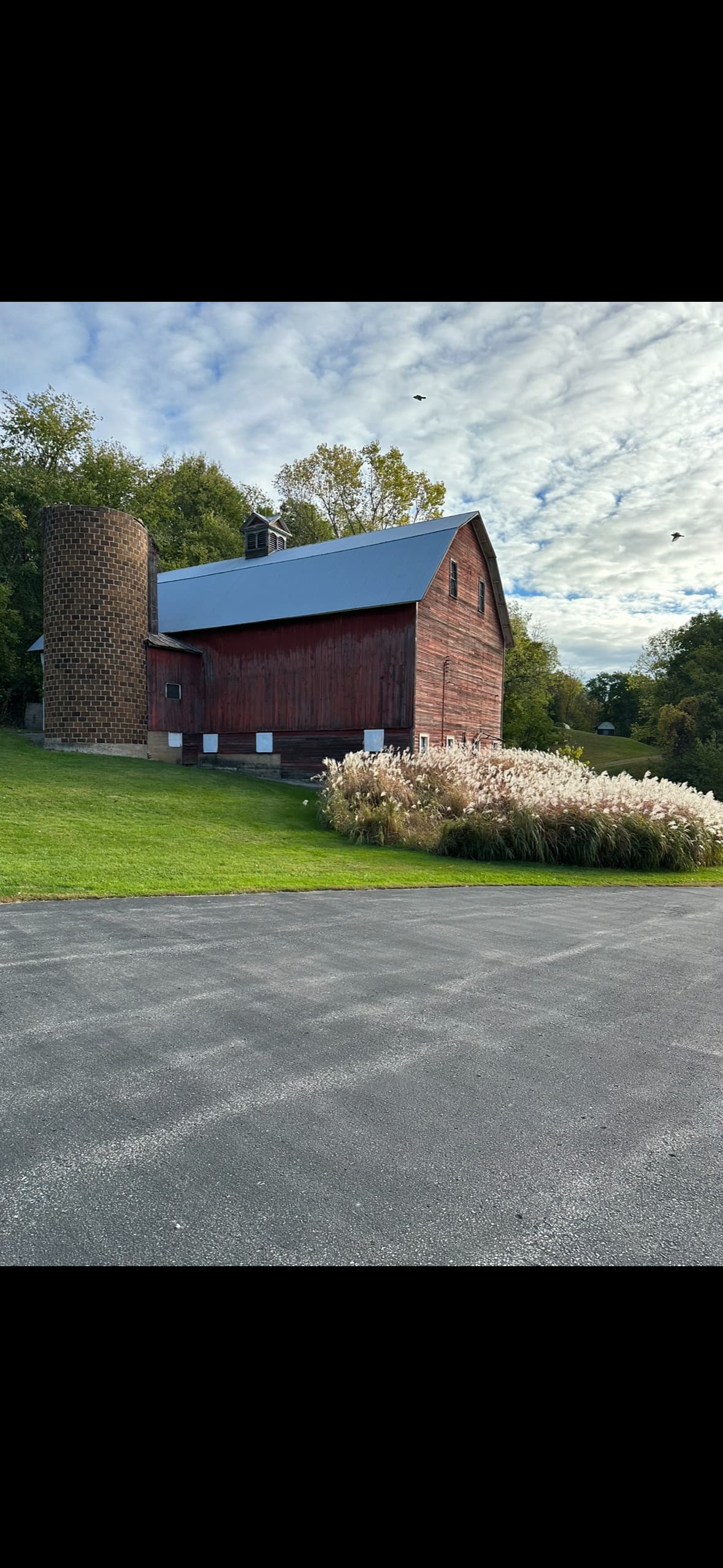 Narnia/Farmhouse