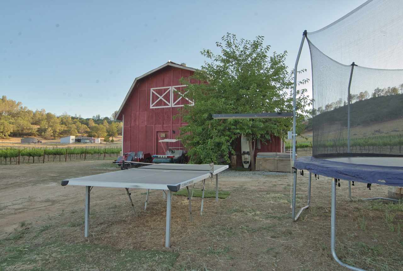 Vineyard Camping at Bad Rat Ranch