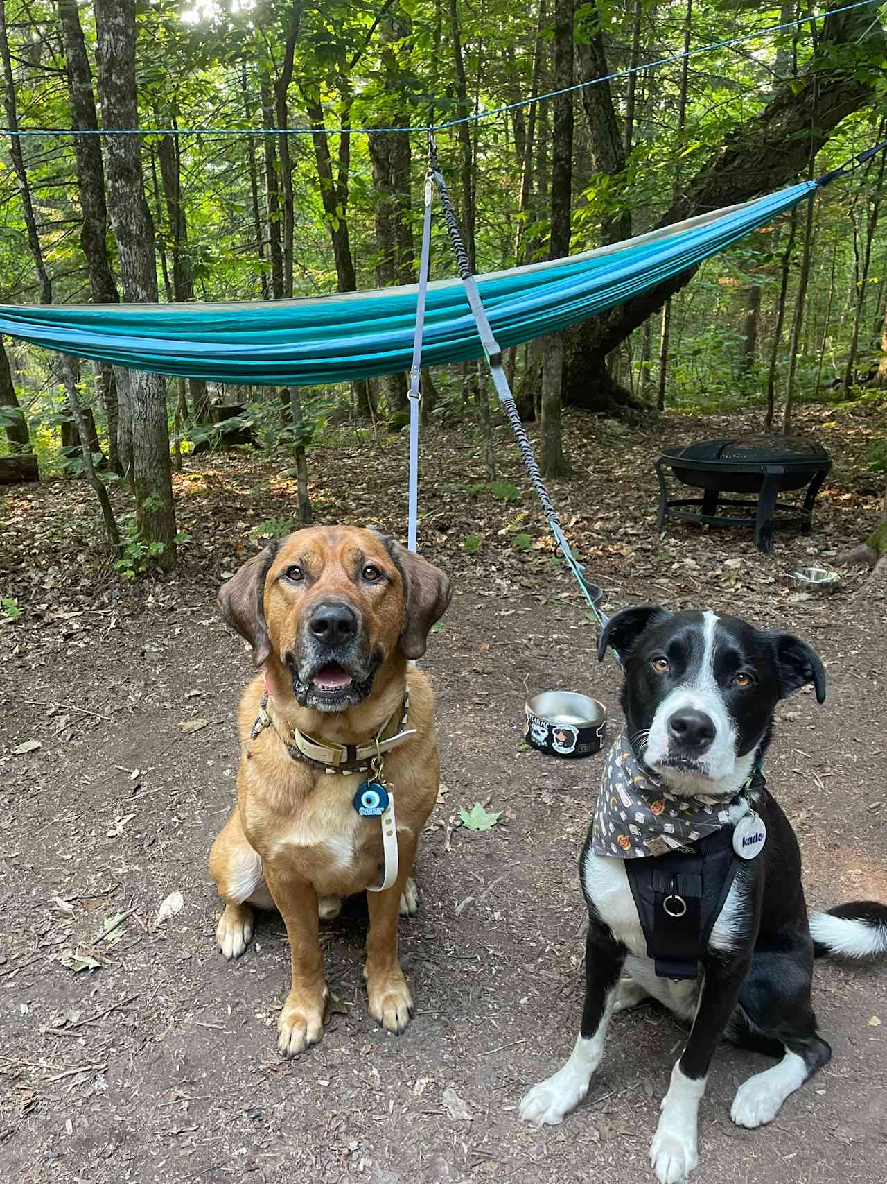 Blueberry Lake Camping