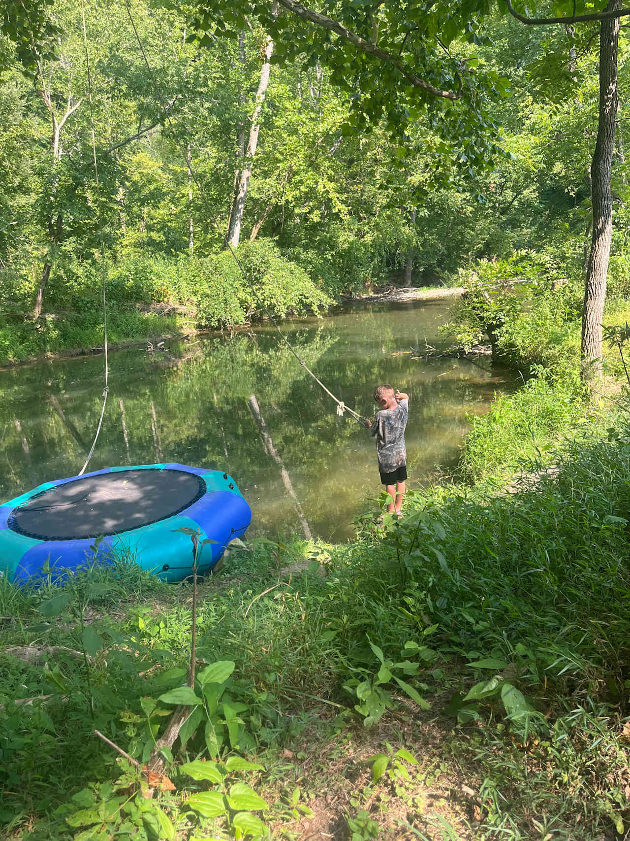 Mountain streams and wildlife