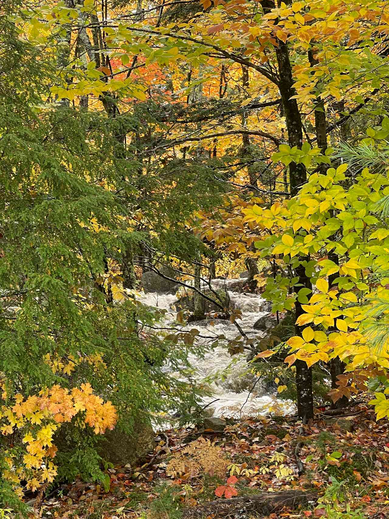 Stonybrook Cascade