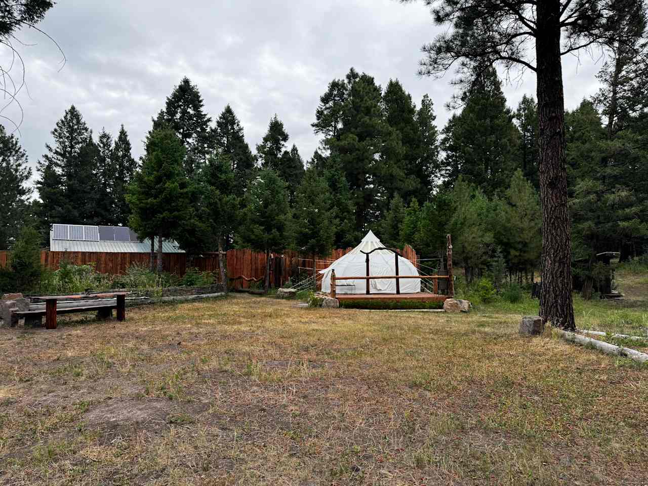 Mile High Mountain Homestead