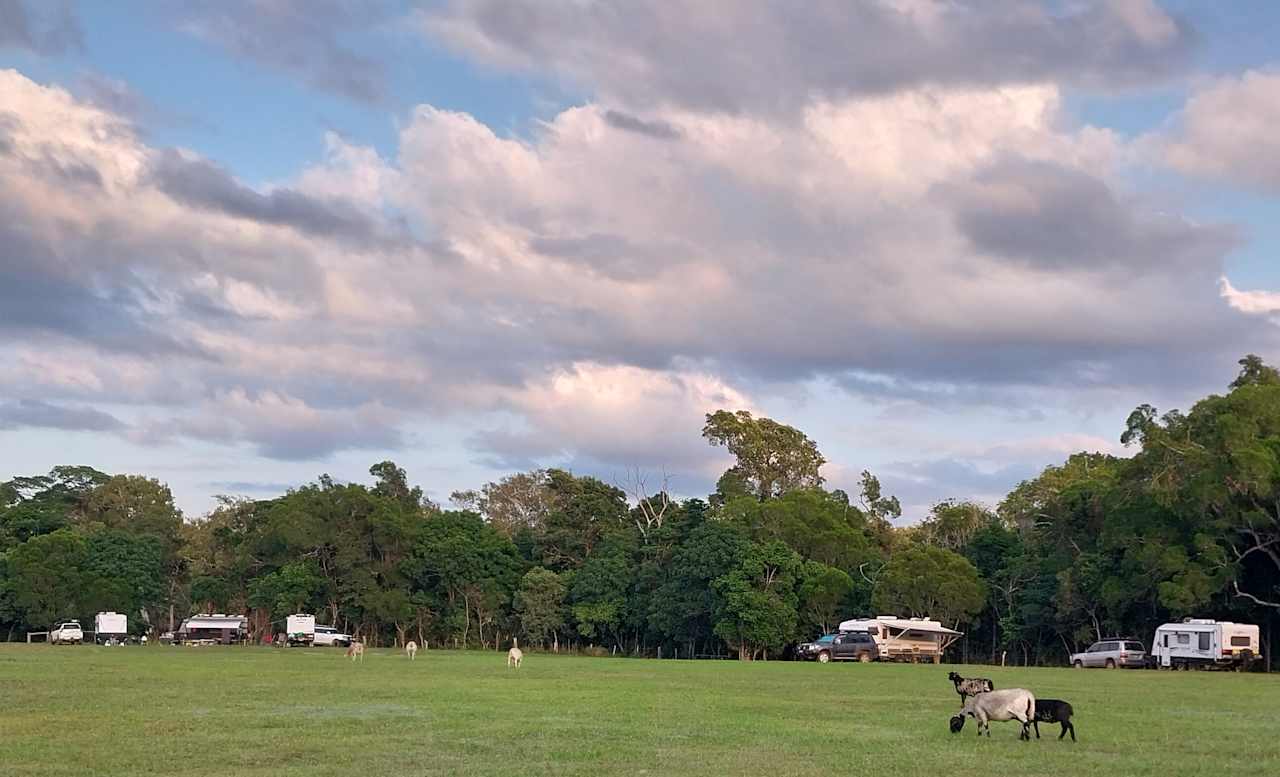 Sunnyside Up sites offer plenty of room and watch the lambs and sheep wander through the campsites.