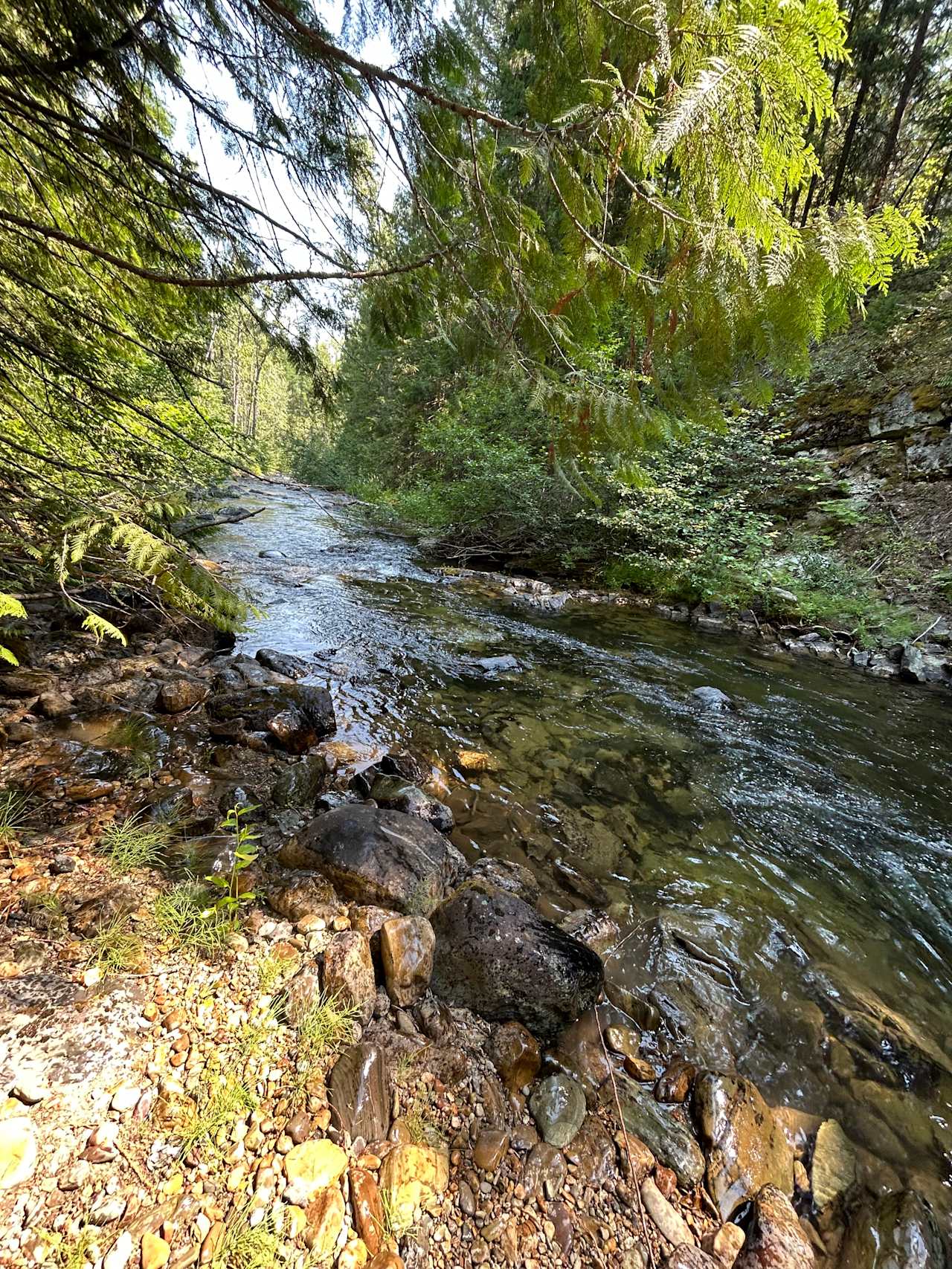 Good Creek Meadows