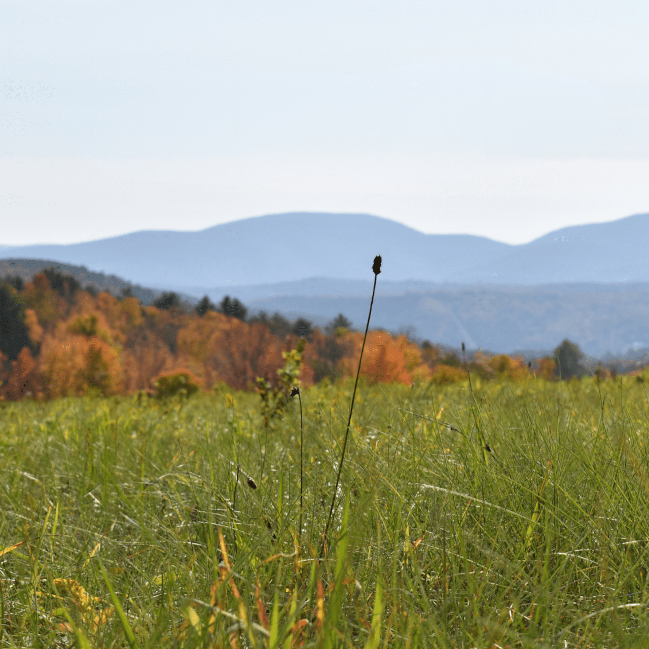 Hengarth Farm Catskill Glamping Inn