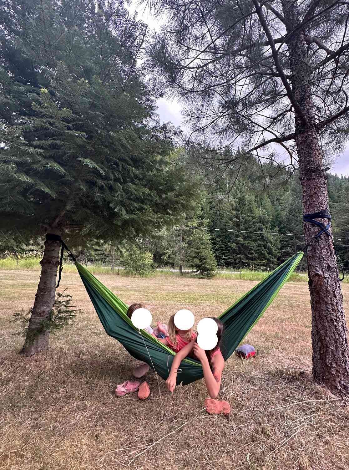 Two trees in the middle to hang a hammock. 