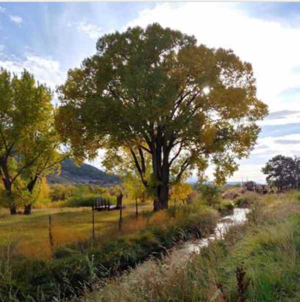 Colorado River Landing