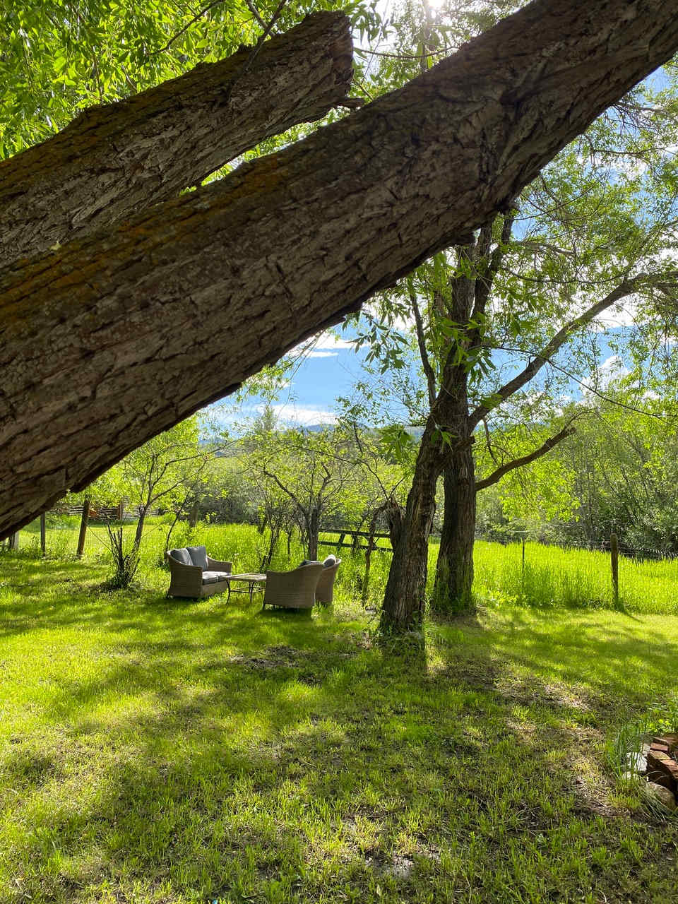 Pony on the Creek — Luxury Glamping