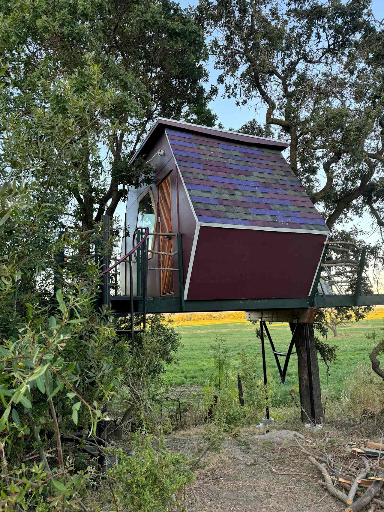 New Carpati Farm