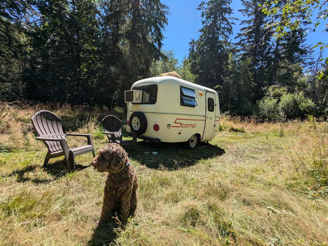 Perfect, secluded spot for our little off grid Scamp.