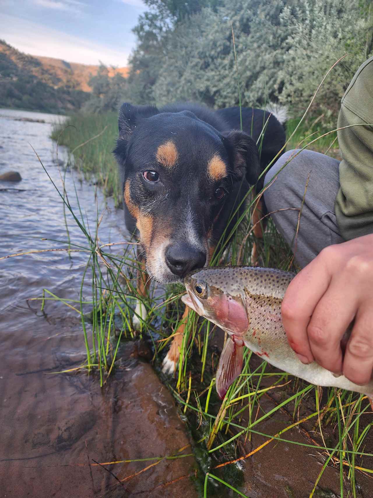 Colorado River Camp Has It All!