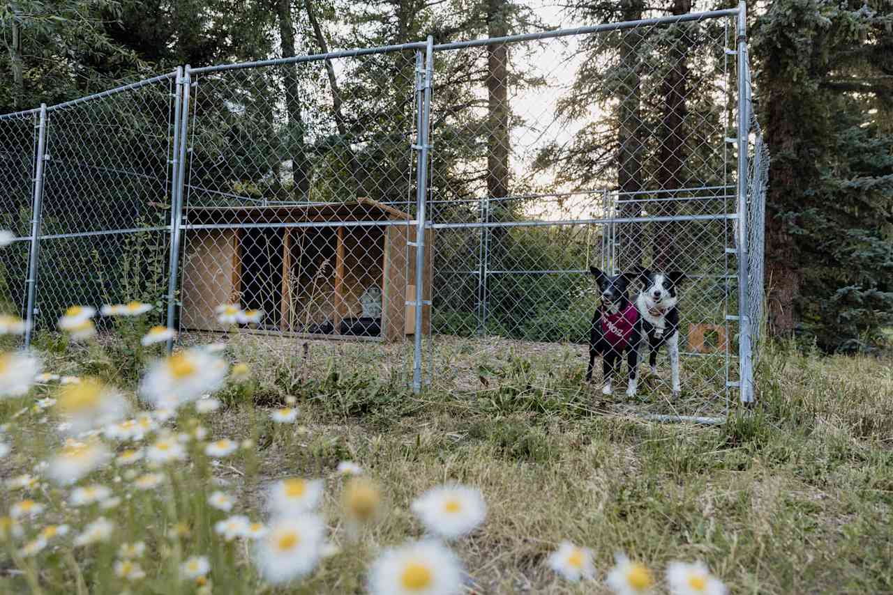 Kennel for dogs if needed